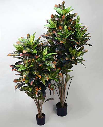 1058-110 Croton 110cm, 1058-140 Croton 140cm